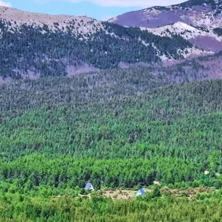 Madalina Blidinje * Svinjaca