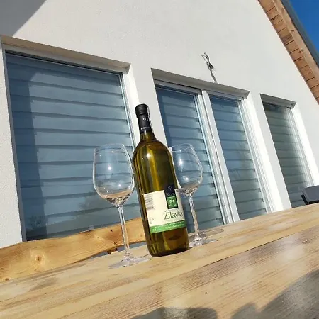 Madalina Blidinje Svinjaca