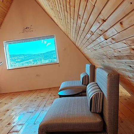 Madalina Blidinje Svinjaca