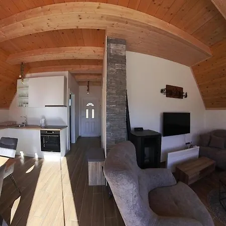 Madalina Blidinje Svinjaca