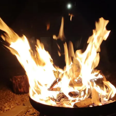 Madalina Blidinje * Svinjaca