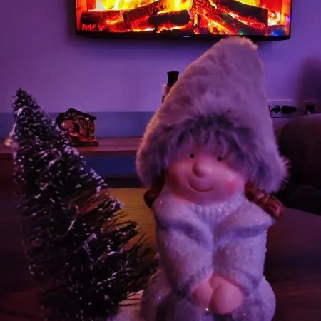 Madalina Blidinje Svinjaca