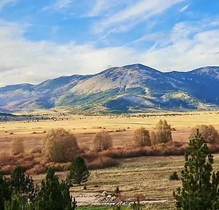 Madalina Blidinje 아파트 *