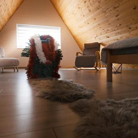 Madalina Blidinje Svinjaca