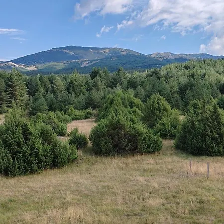 Madalina Blidinje Svinjaca